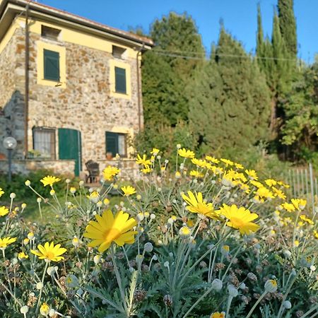 Il Fontolo Villa Ponzano Superiore Dış mekan fotoğraf