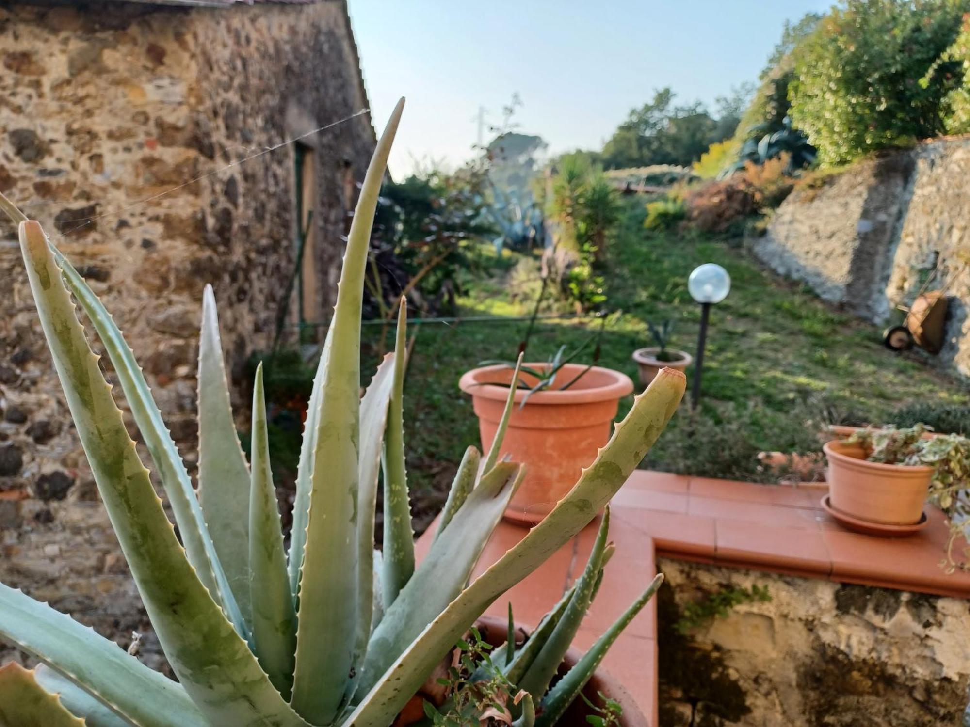 Il Fontolo Villa Ponzano Superiore Dış mekan fotoğraf