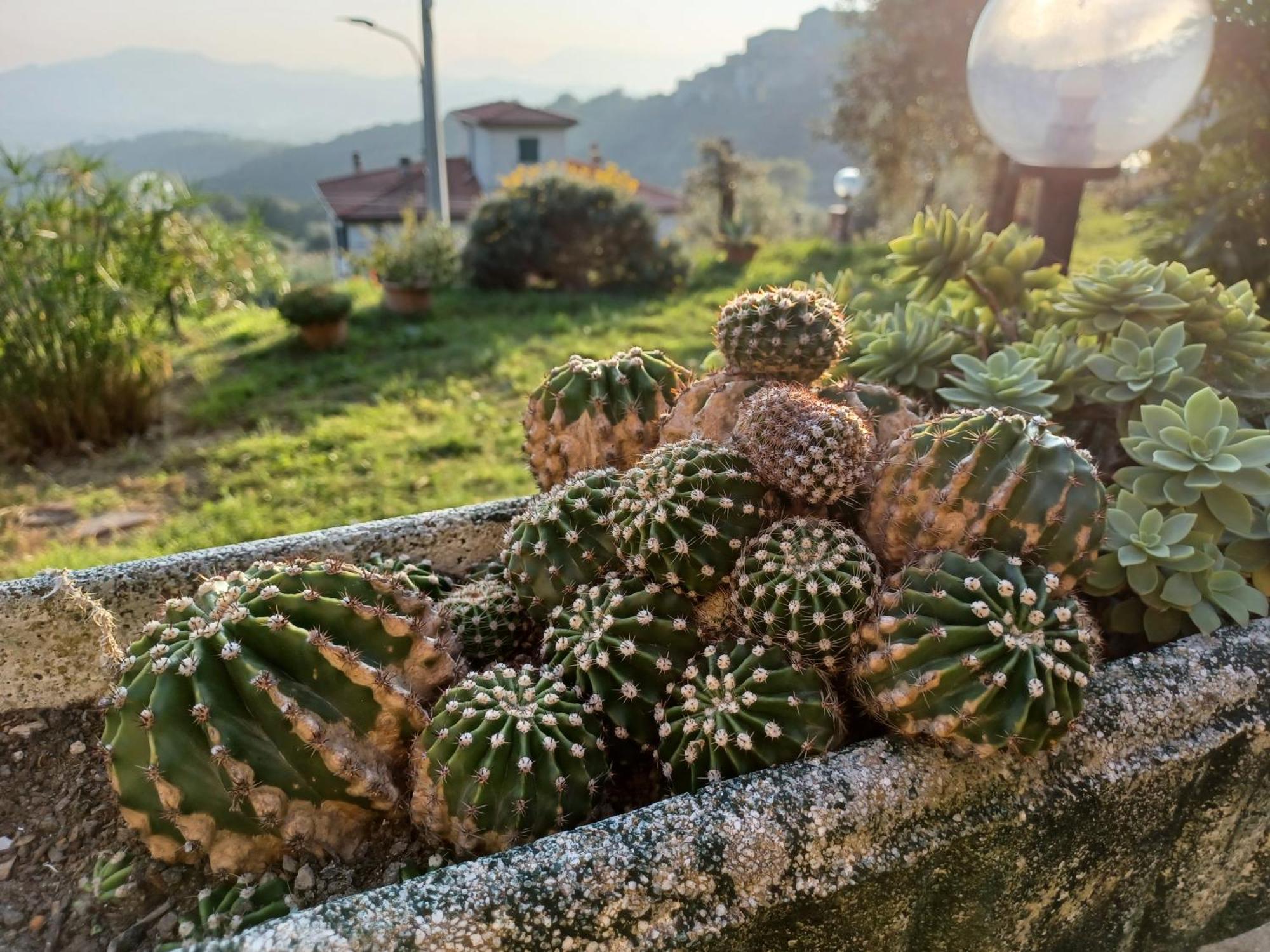 Il Fontolo Villa Ponzano Superiore Dış mekan fotoğraf