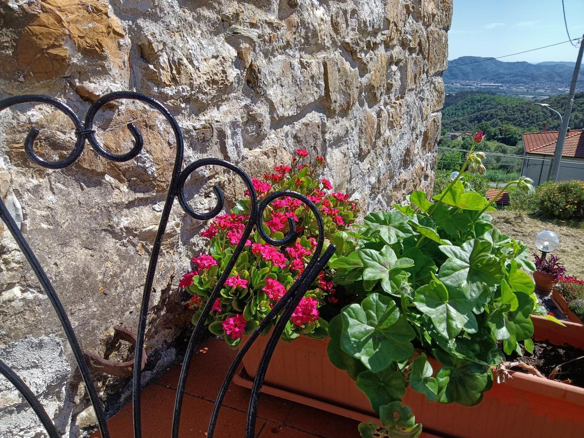 Il Fontolo Villa Ponzano Superiore Dış mekan fotoğraf
